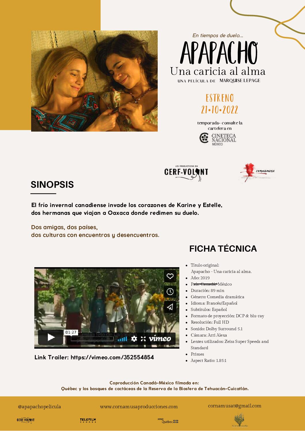 Actividad «Cine en el Museo». El viernes 3