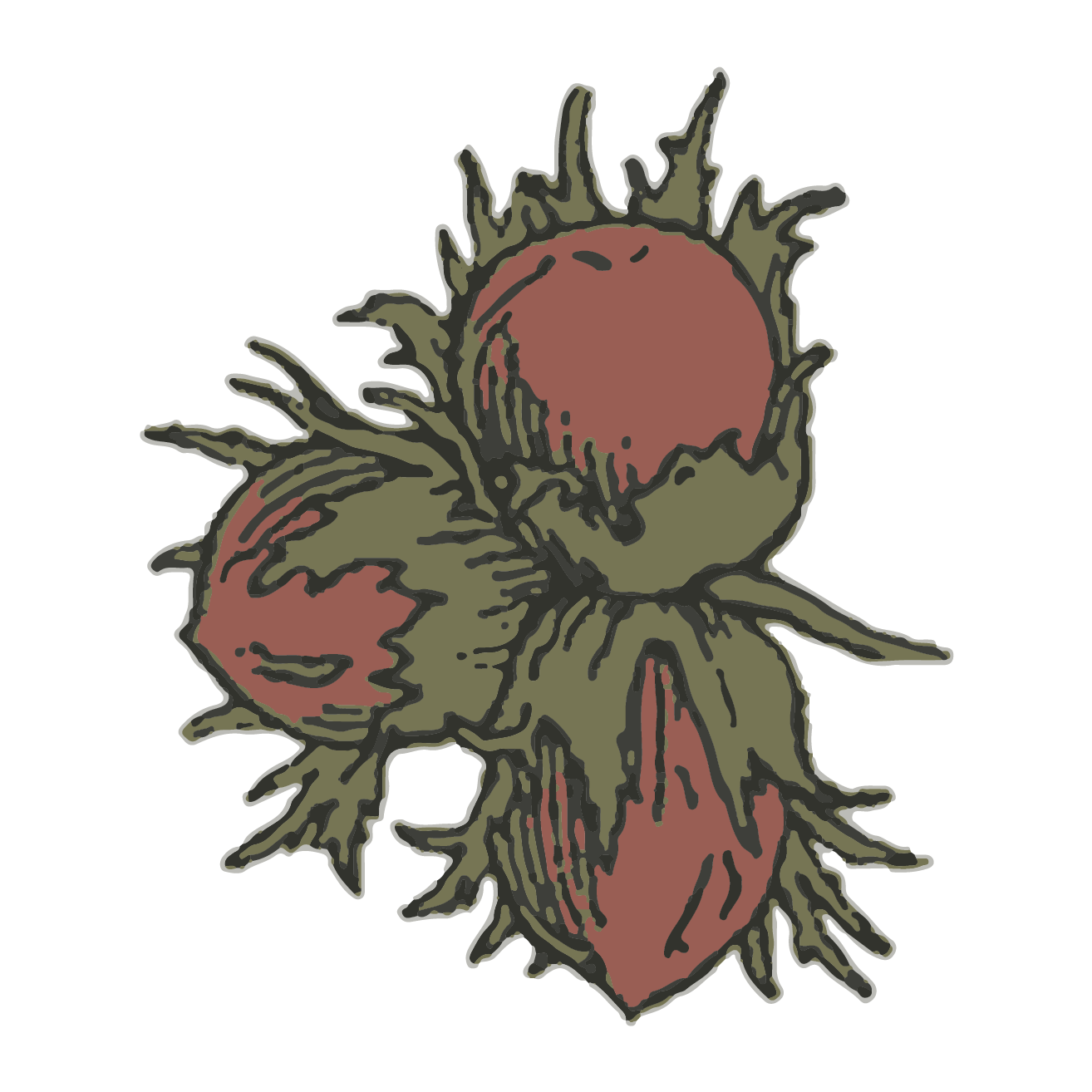 Asociación Cultural Valdeavellano de Tera